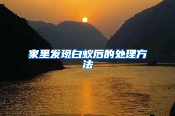 家里發現白蟻后的處理方法