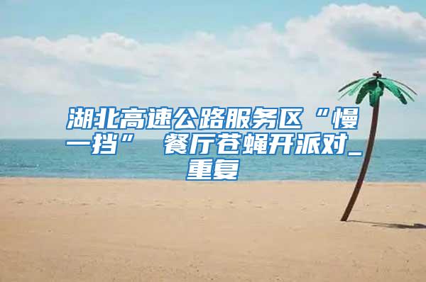 湖北高速公路服務區“慢一擋” 餐廳蒼蠅開派對_重復