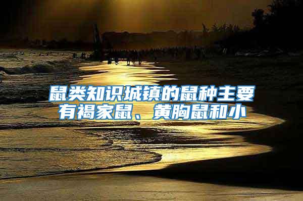 鼠類知識城鎮的鼠種主要有褐家鼠、黃胸鼠和小