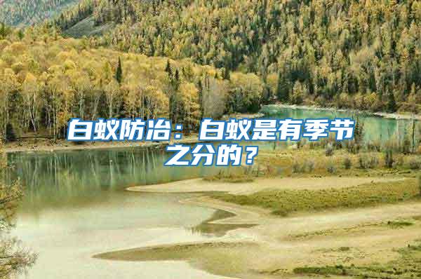 白蟻防冶：白蟻是有季節之分的？