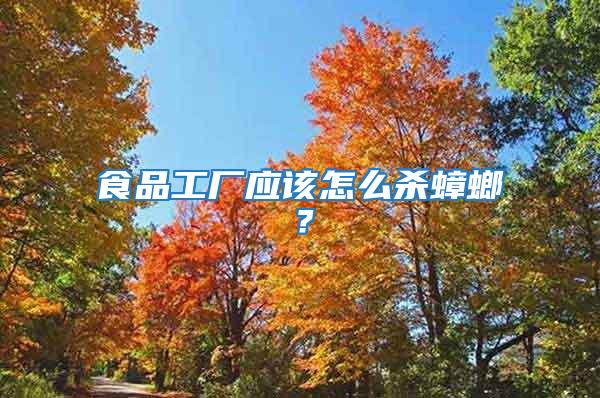 食品工廠應該怎么殺蟑螂？
