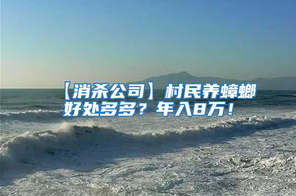 【消殺公司】村民養(yǎng)蟑螂好處多多？年入8萬(wàn)！