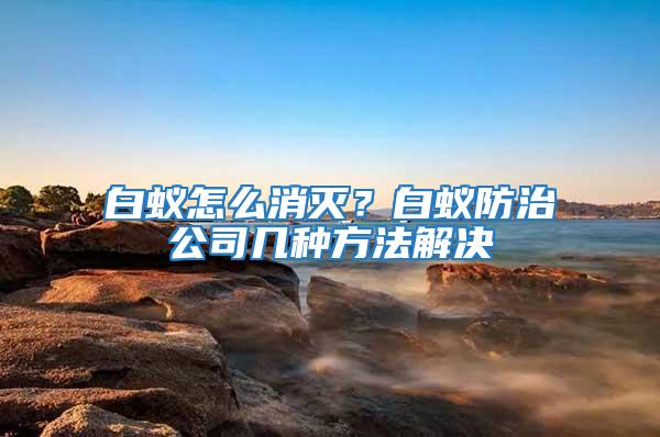 白蟻怎么消滅？白蟻防治公司幾種方法解決