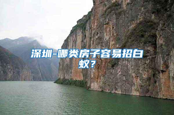 深圳-哪類房子容易招白蟻？