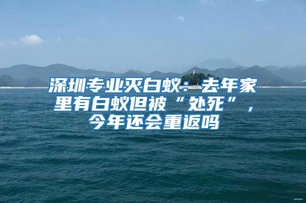 深圳專業滅白蟻：去年家里有白蟻但被“處死”，今年還會重返嗎