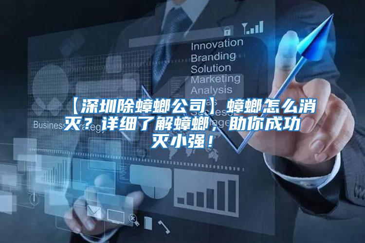 【深圳除蟑螂公司】蟑螂怎么消滅？詳細了解蟑螂，助你成功滅小強！