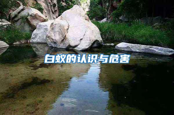 白蟻的認(rèn)識與危害
