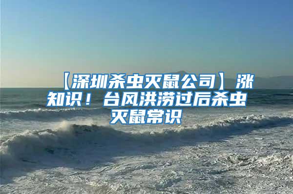 【深圳殺蟲滅鼠公司】漲知識！臺風洪澇過后殺蟲滅鼠常識