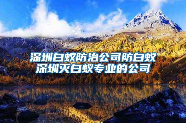 深圳白蟻防治公司防白蟻深圳滅白蟻專業的公司