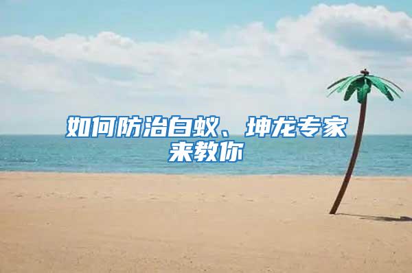 如何防治白蟻、坤龍專家來教你