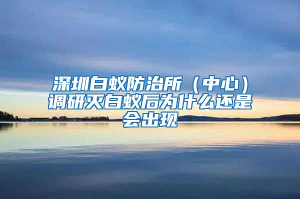 深圳白蟻防治所（中心）調研滅白蟻后為什么還是會出現(xiàn)