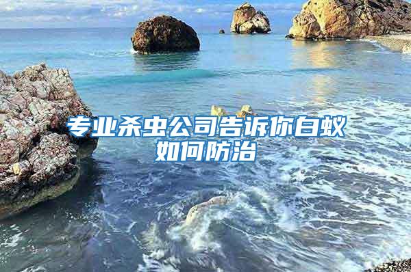 專業殺蟲公司告訴你白蟻如何防治