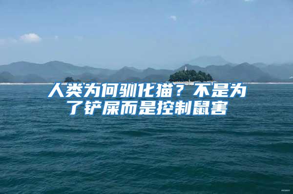 人類為何馴化貓？不是為了鏟屎而是控制鼠害