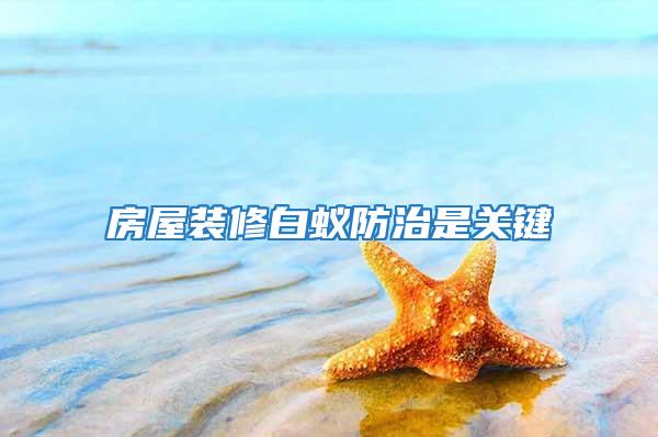 房屋裝修白蟻防治是關鍵