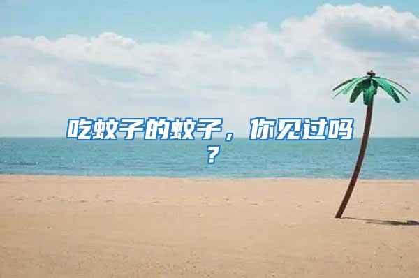 吃蚊子的蚊子，你見過嗎？