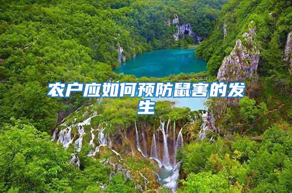農戶應如何預防鼠害的發(fā)生