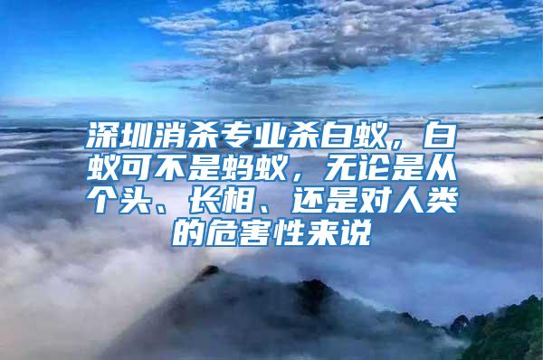 深圳消殺專業殺白蟻，白蟻可不是螞蟻，無論是從個頭、長相、還是對人類的危害性來說