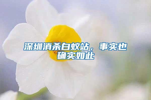 深圳消殺白蟻站，事實也確實如此