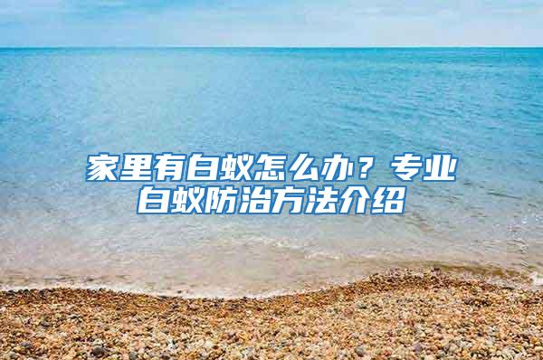 家里有白蟻怎么辦？專業白蟻防治方法介紹