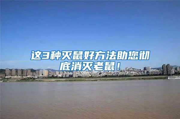 這3種滅鼠好方法助您徹底消滅老鼠！