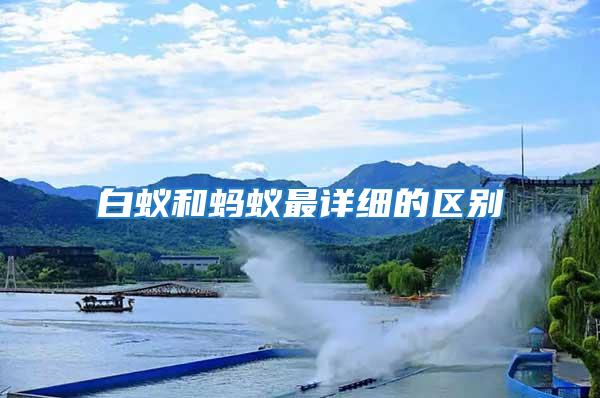 白蟻和螞蟻最詳細的區別