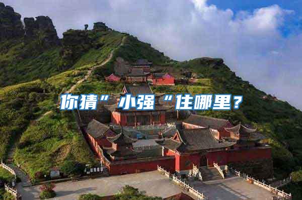 你猜”小強“住哪里？