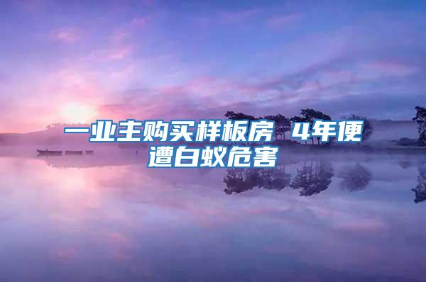 一業主購買樣板房 4年便遭白蟻危害