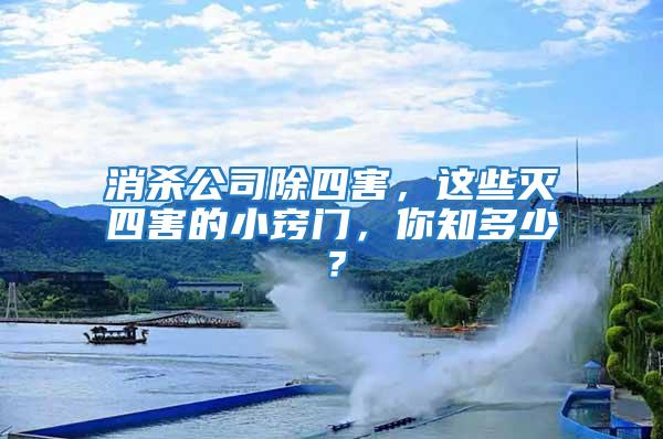 消殺公司除四害，這些滅四害的小竅門，你知多少？