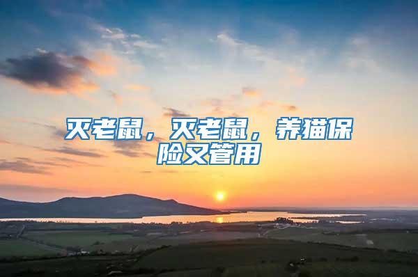 滅老鼠，滅老鼠，養貓保險又管用