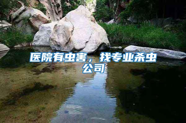 醫院有蟲害，找專業殺蟲公司