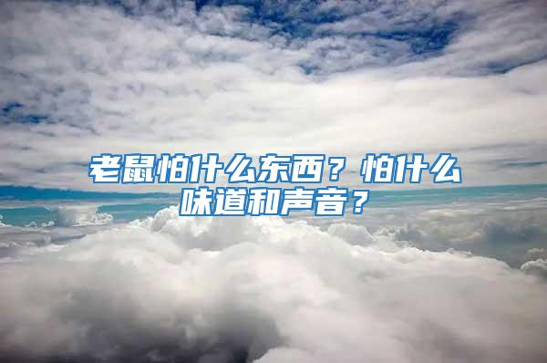 老鼠怕什么東西？怕什么味道和聲音？