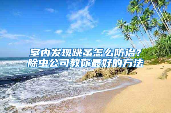 室內發現跳蚤怎么防治？除蟲公司教你最好的方法