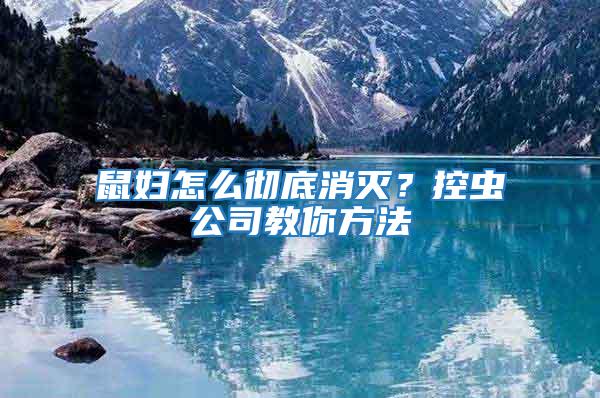 鼠婦怎么徹底消滅？控蟲公司教你方法