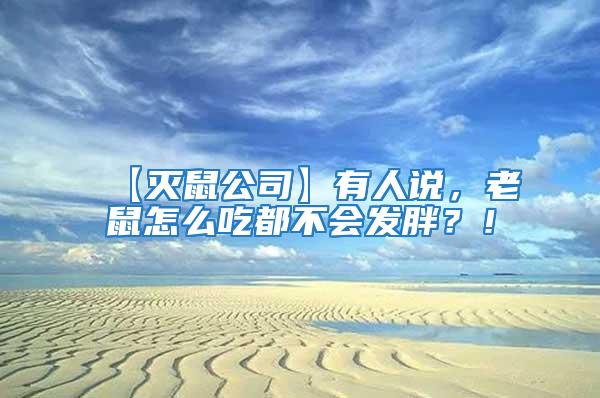 【滅鼠公司】有人說，老鼠怎么吃都不會發胖？！