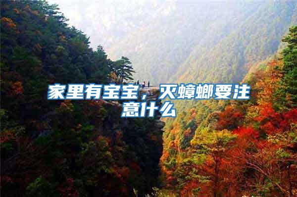 家里有寶寶，滅蟑螂要注意什么