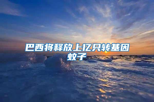 巴西將釋放上億只轉基因蚊子