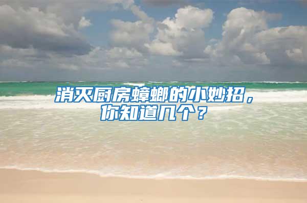 消滅廚房蟑螂的小妙招，你知道幾個？