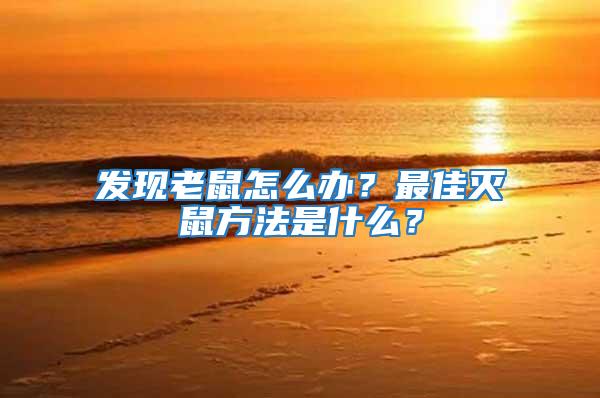 發現老鼠怎么辦？最佳滅鼠方法是什么？