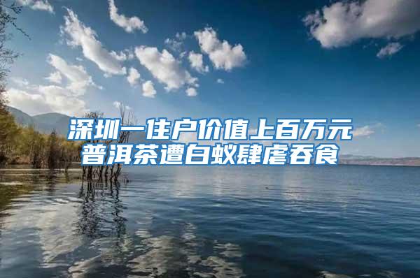 深圳一住戶價(jià)值上百萬(wàn)元普洱茶遭白蟻肆虐吞食