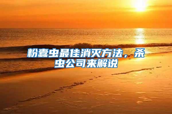 粉蠹蟲最佳消滅方法，殺蟲公司來解說