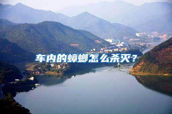 車內的蟑螂怎么殺滅？