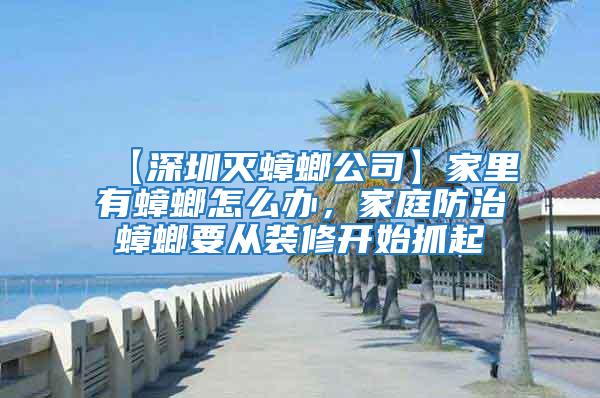 【深圳滅蟑螂公司】家里有蟑螂怎么辦，家庭防治蟑螂要從裝修開始抓起