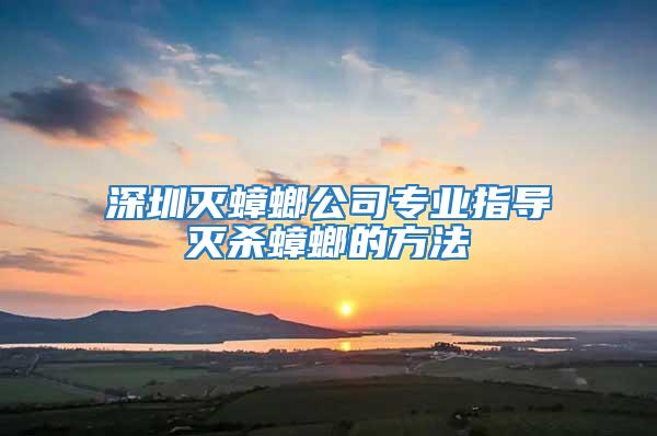 深圳滅蟑螂公司專業指導滅殺蟑螂的方法