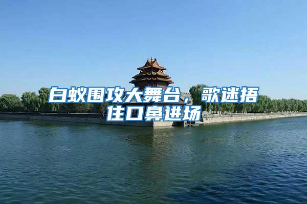白蟻圍攻大舞臺，歌迷捂住口鼻進場