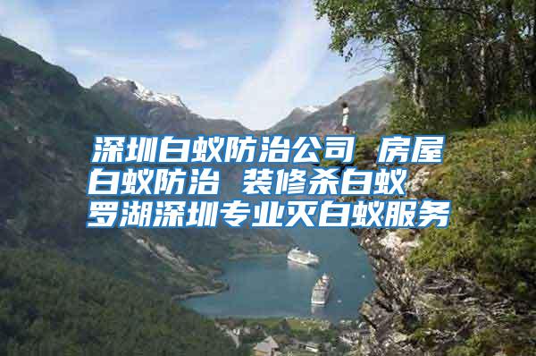 深圳白蟻防治公司 房屋白蟻防治 裝修殺白蟻  羅湖深圳專業滅白蟻服務
