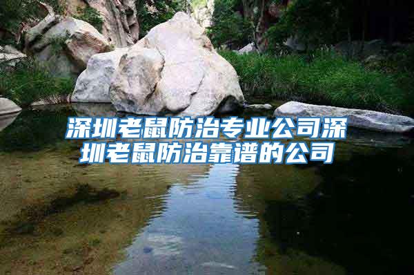 深圳老鼠防治專業公司深圳老鼠防治靠譜的公司