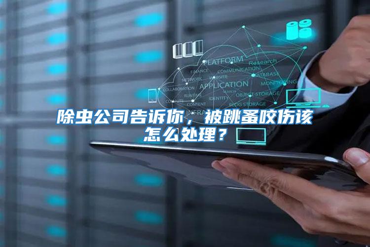 除蟲公司告訴你，被跳蚤咬傷該怎么處理？