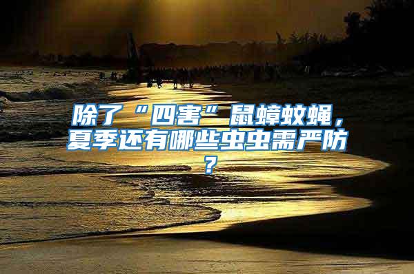 除了“四害”鼠蟑蚊蠅，夏季還有哪些蟲蟲需嚴防？