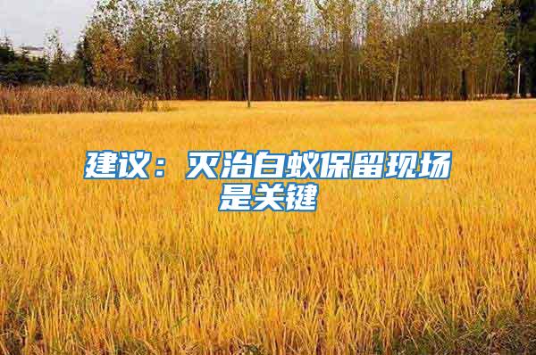建議：滅治白蟻保留現(xiàn)場(chǎng)是關(guān)鍵