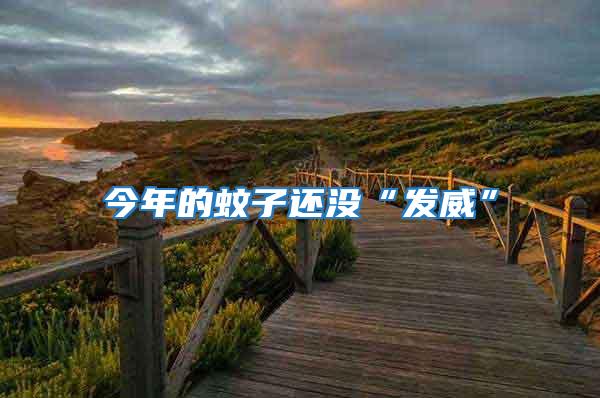 今年的蚊子還沒“發(fā)威”